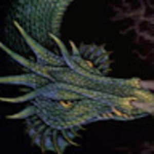 Meet your Posher, Liz